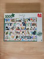 Kattenpuzzle / Jumbo / Francien 25 jaar/ 1x uitgelegd, Ophalen of Verzenden, 500 t/m 1500 stukjes, Gebruikt, Legpuzzel