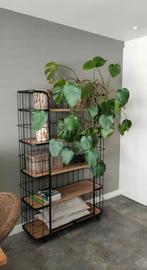 Leuk bakkersrek, Ophalen, Zo goed als nieuw