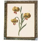 Barok schilderij lijst, Huis en Inrichting, Ophalen, 125 cm of meer, Zo goed als nieuw, 75 cm of meer