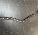 NIEUW! JFF Riding wear frontriem COB, Ophalen of Verzenden, Zo goed als nieuw, Dressuur