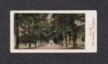 Verzamelplaatje Oud-Bussem Oprijlaan Landgoed 1910. beschikbaar voor biedingen