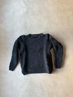 Trui Holebrook, Blauw, Ophalen of Verzenden, Maat 36 (S), Gedragen