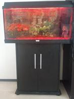 Jewel 125 liter aquarium compleet met vissen en toebehoren, Dieren en Toebehoren, Gebruikt, Ophalen, Gevuld zoetwateraquarium