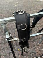 Longeersingel, Dieren en Toebehoren, Ophalen of Verzenden, Gebruikt