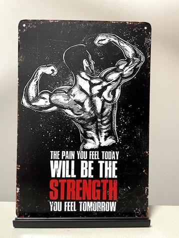 The pain you feel today , metalen tekstbord (Old Look) beschikbaar voor biedingen