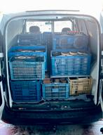 Bonsai potten partij! Scherpe prijzen bij afhalen!, Tuin en Terras, Bloempotten, Ophalen, Zo goed als nieuw, Minder dan 25 cm