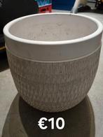 Grote witte plantenpot, Ophalen, In pot