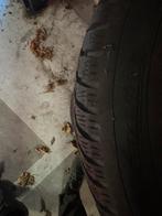 16 inch winterbanden voor oa Skoda Scala (+/- 6 mm), Auto-onderdelen, Banden en Velgen, Ophalen, Gebruikt, 16 inch, Band(en)