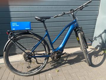 Giant beschikbaar voor biedingen