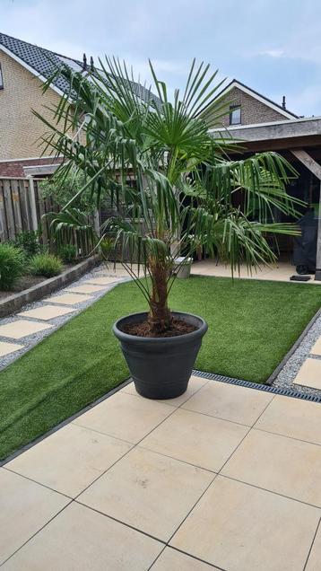 Zeer grote tuinvaas van kunststof voor tuin of terras. beschikbaar voor biedingen