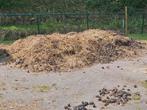 Paarden mest gratis, Tuin en Terras, Aarde en Mest, Ophalen
