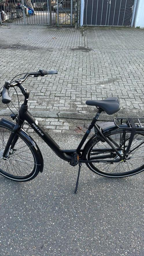 PEGASUS lucca dames (nieuw), Fietsen en Brommers, Fietsen | Dames | Damesfietsen, Nieuw, Overige merken, Ophalen of Verzenden