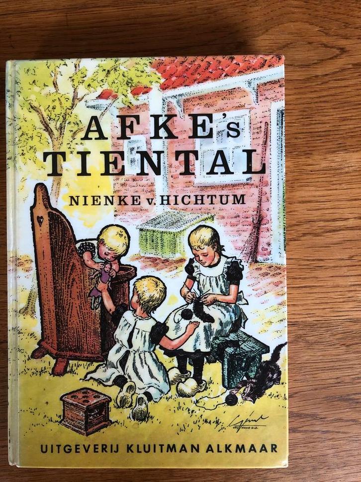 Afke's Tiental - Nienke van Hichtum, Boeken, Kinderboeken | Jeugd | onder 10 jaar, Gelezen, Fictie algemeen, Ophalen of Verzenden