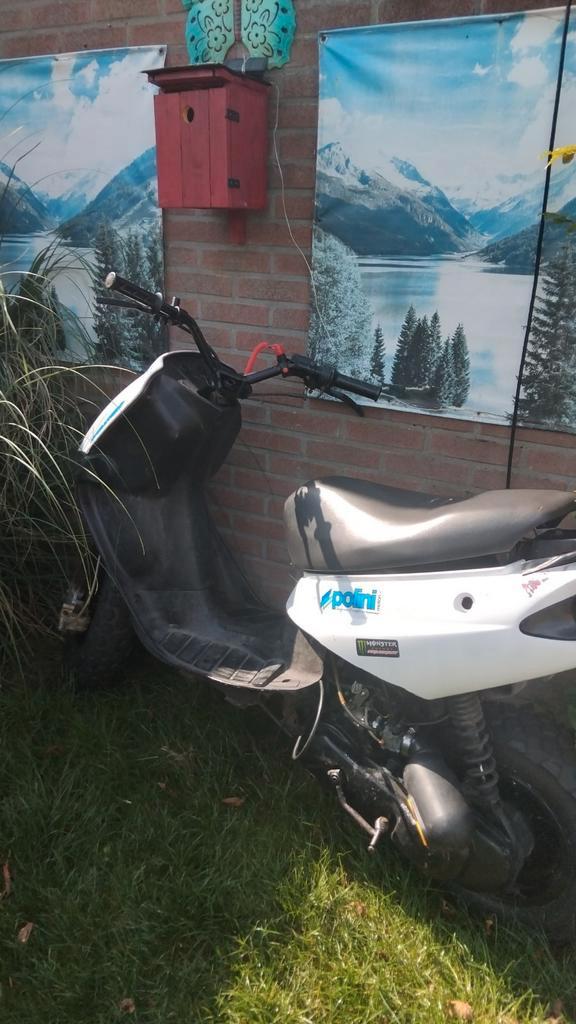 Peugeot buxy Zonder 123 STAAT in de weg, Fietsen en Brommers, Scooters | Peugeot, Zo goed als nieuw, Overige modellen, Tweetakt