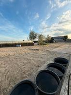 Plek vrij op mini paddock paradise, Dieren en Toebehoren, Stalling en Weidegang