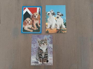 Honden en kat, ongelopen, jaren '80, beschikbaar voor biedingen