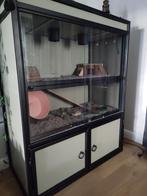 Terrarium maar ook te gebruiken voor bijv. cavia of hamster, Dieren en Toebehoren, Reptielen en Amfibieën | Toebehoren, Ophalen