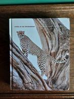 Living in the Environment – Miller & Spoolman (18e editie), Boeken, Diverse auteurs, Zo goed als nieuw, Beta, HBO