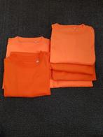 Oranje t-shirts in maat M - nieuw, Nieuw, Oranje, Maat 48/50 (M), Ophalen of Verzenden