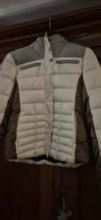 Dames skijas Icepeak maat 38, Maat 38/40 (M), Icepeak, Ophalen of Verzenden, Zo goed als nieuw