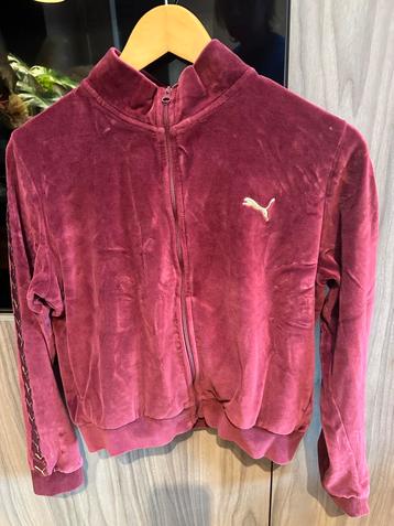 Vintage PUMA Trainingsjasje Bordeaux Velours M/L beschikbaar voor biedingen