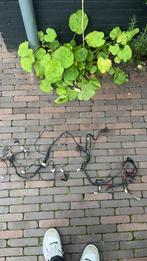 Kabelboom, Ophalen of Verzenden, Zo goed als nieuw