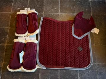 Kentucky velvet Bordeaux dressuur full beschermers oornetje  beschikbaar voor biedingen