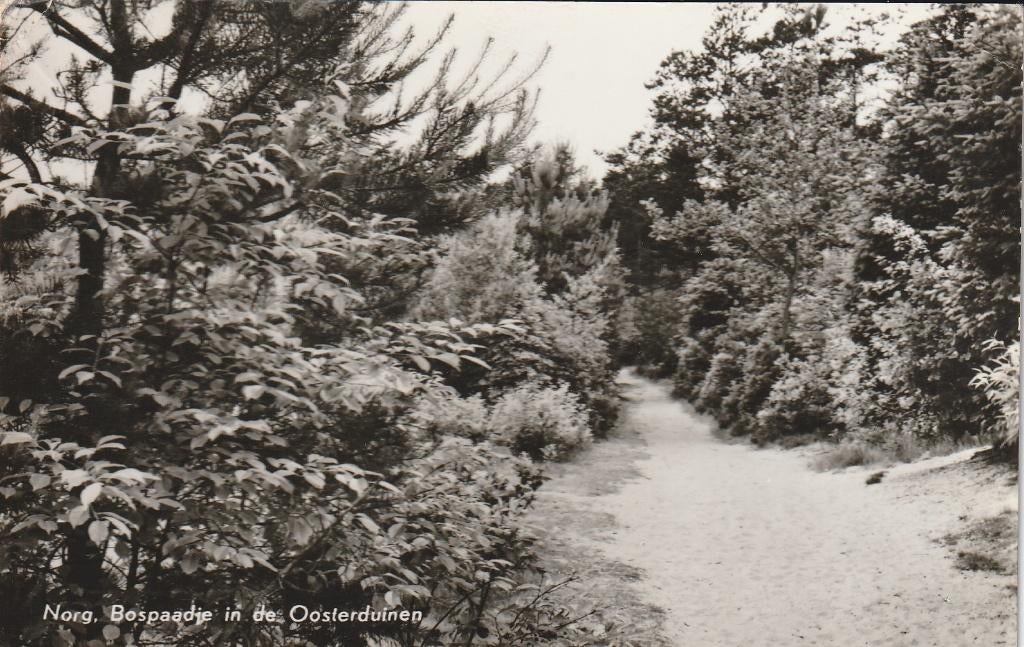Norg     Oosterduinen, Ophalen of Verzenden, 1940 tot 1960, Gelopen, Drenthe