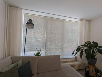 Jaloezieën 200 x 250 cm en 100 x 250 cm  beschikbaar voor biedingen