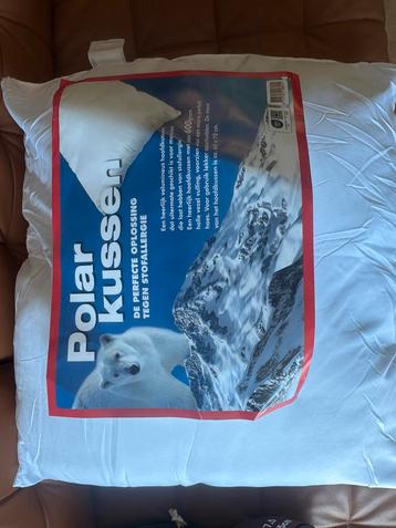 Nieuw Polar Kussens 2x - Anti-allergie beschikbaar voor biedingen