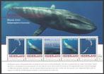 Postzegels Bedreigde zoogdieren: Blauwe Vinvis, Ophalen of Verzenden, Na 1940, Postfris