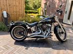 Harley Davidson Fat Boy Anniversary Custom, Motoren, Motoren | Harley-Davidson, 1746 cc, 2 cilinders, Chopper, Particulier