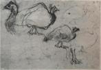 Jan Mankes 1889-1920 / Heliogravure Schets Kalkoenen 1923, Ophalen of Verzenden
