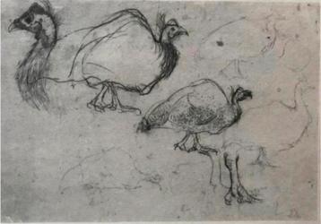 Jan Mankes 1889-1920 / Heliogravure Schets Kalkoenen 1923 beschikbaar voor biedingen