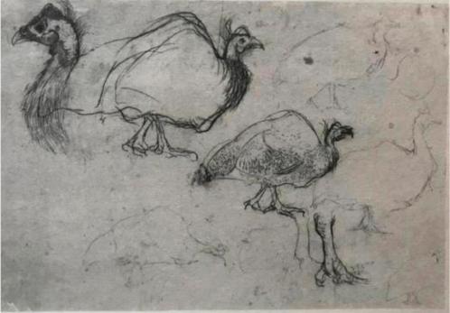 Jan Mankes 1889-1920 / Heliogravure Schets Kalkoenen 1923, Antiek en Kunst, Kunst | Etsen en Gravures, Ophalen of Verzenden
