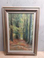 Prachtig olieverf schilderij “Boslaan” – Tony Reniers –54x78, Antiek en Kunst, Ophalen of Verzenden