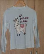 Name It shirt met lange mouwen, maat 158-164, Ophalen of Verzenden, Zo goed als nieuw, Name It, Meisje