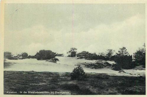 (380-275-013) Dwingeloo Kipeloo, Verzamelen, Ansichtkaarten | Nederland, Drenthe, Verzenden