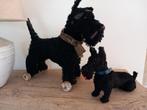 lief oud speelgoed hondje puppy . Schotse terriër, Ophalen of Verzenden
