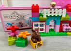 Lego Duplo set 6071227 in roze bewaarbox, Ophalen of Verzenden, Zo goed als nieuw, Complete set, Duplo
