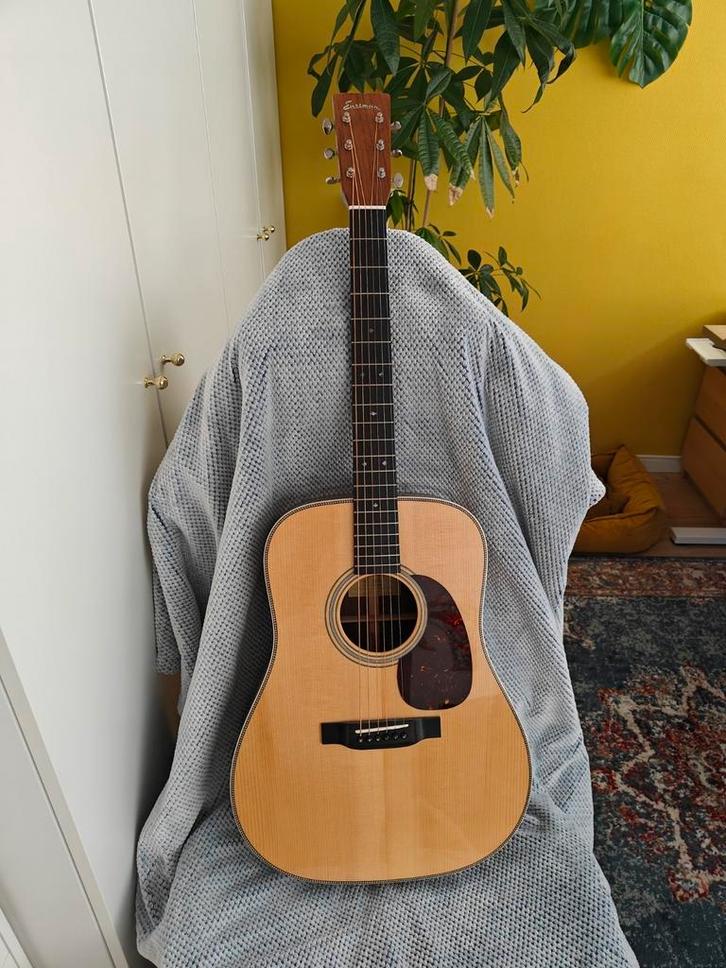 Eastman E20D met koffer, in nieuwstaat, Muziek en Instrumenten, Versterkers | Bas en Gitaar, Zo goed als nieuw, Gitaar, Ophalen