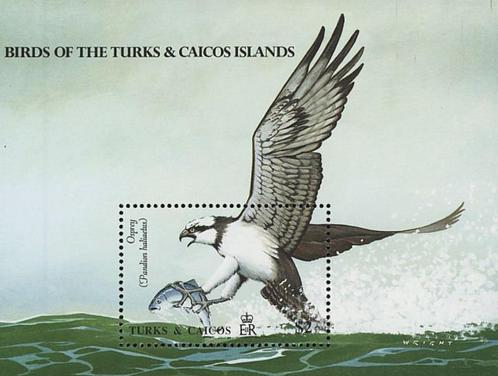 TURKS & CAICOSEILANDEN 30 - Dieren: vogels (visarend), Postzegels en Munten, Postzegels | Thematische zegels, Postfris, Dier of Natuur