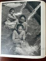 Hundert tage auf bali walter dreesen 1937, Ophalen of Verzenden, Gelezen, Fotografie algemeen