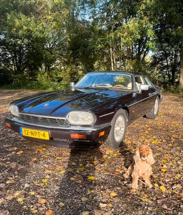 Jaguar XJS 4.0 Coupe 12-1995 morocco red, wit leer.  beschikbaar voor biedingen