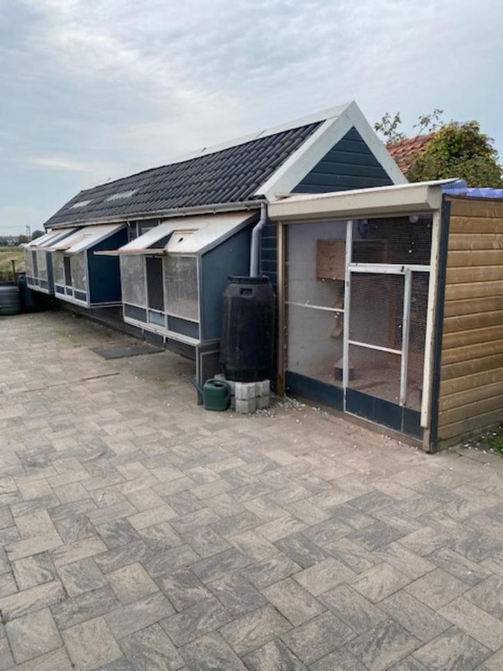 Duivenhok compleet met inventaris en erkers, Dieren en Toebehoren, Vogels | Duiven, Overige soorten, Geslacht onbekend