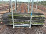 Fruitpalen, Ophalen, Gebruikt, 250 cm of meer, Palen
