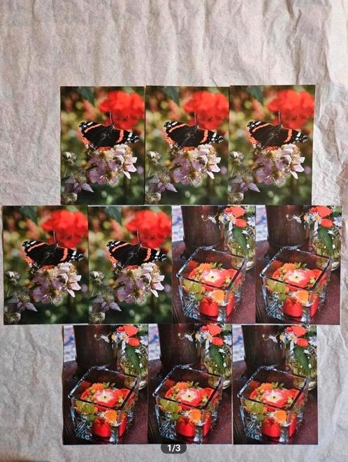 Anneke Bleeker ansichtkaarten, Verzamelen, Ansichtkaarten | Themakaarten, Natuur, Ophalen of Verzenden