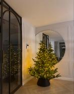 Everlands Grandis Fir kerstboom 180, Diversen, Ophalen, Zo goed als nieuw