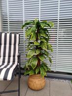 Kunstplant/Boom 130cm - Realistisch & Veelzijdig!, Huis en Inrichting, Kamerplanten, Ophalen of Verzenden