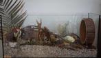 80x40x40 Terrarium zonder schuifruiten, Dieren en Toebehoren, Minder dan 60 cm, Nieuw, Ophalen of Verzenden, 75 tot 110 cm
